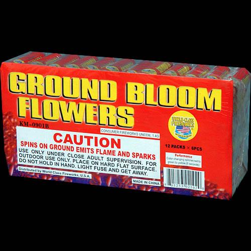 Ground Bloom Flowers fireworks